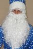 Шикарная борода Деда Мороза